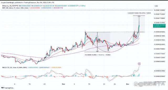shib(shib币价格今日行情)