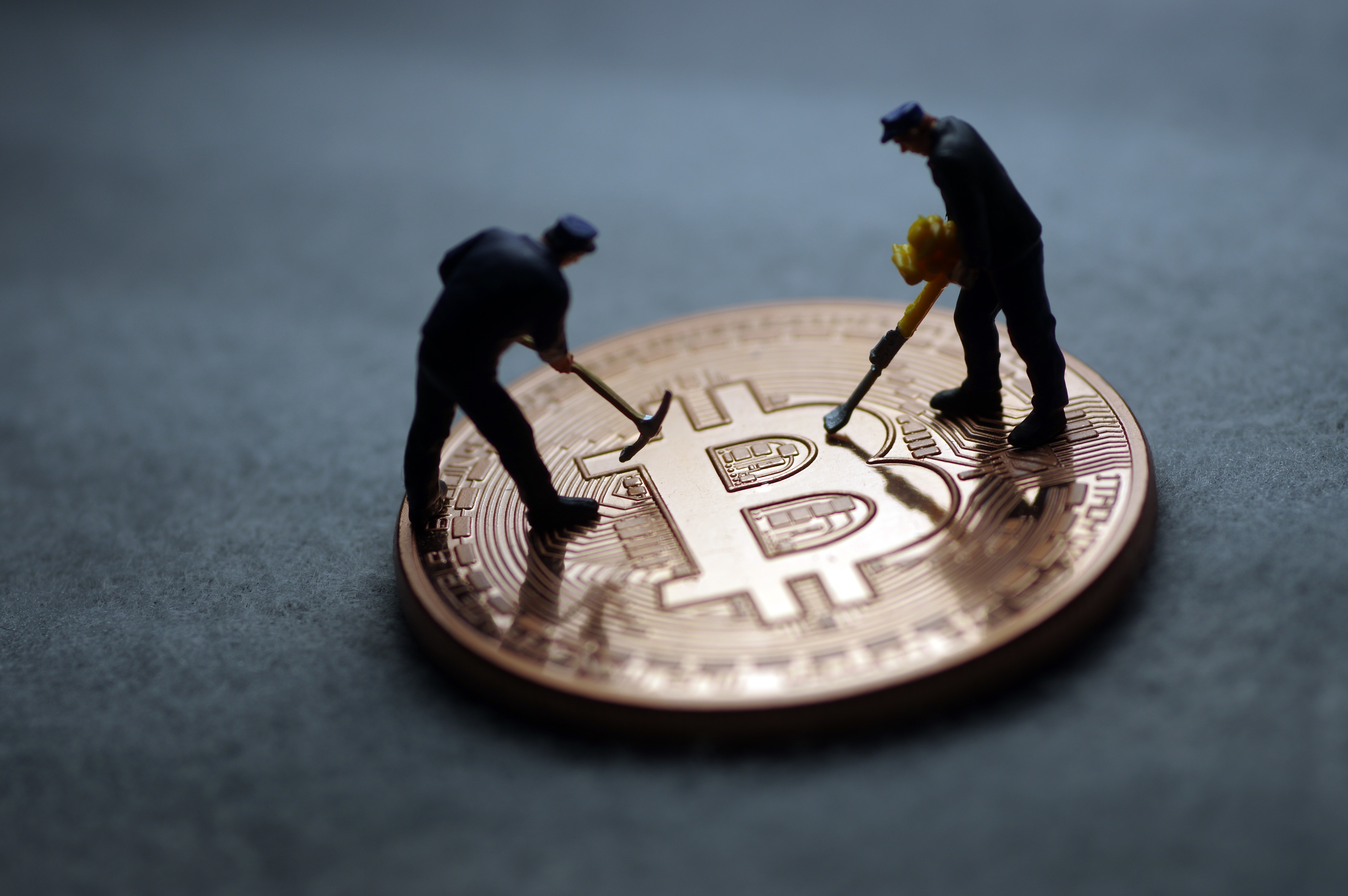 虚拟币平台(国内虚拟币平台)