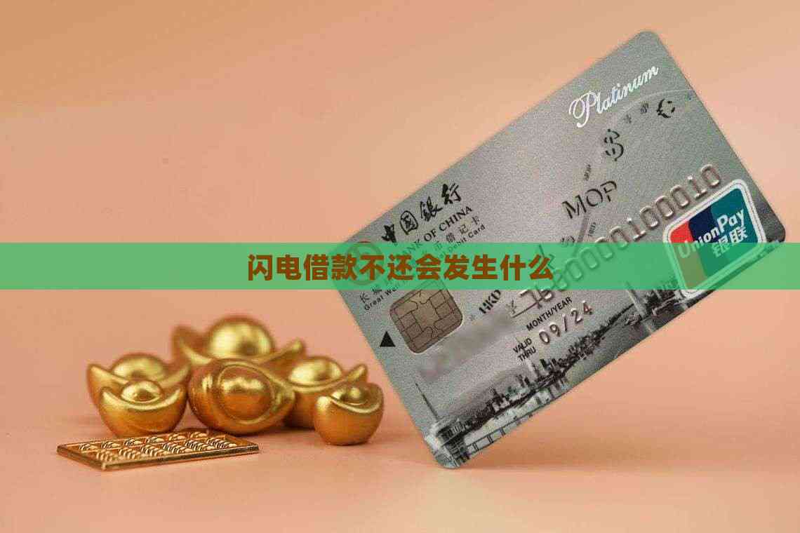 闪电借款是哪个平台的(闪电借款现在叫什么名字)